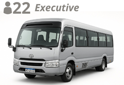 MINIBUS, up to 22 passengers with luggage