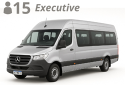 STRETCH VAN, up to 15 passengers with luggage